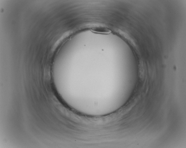 X0000074300015200609151953