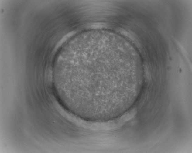 X0000074300016200609151953