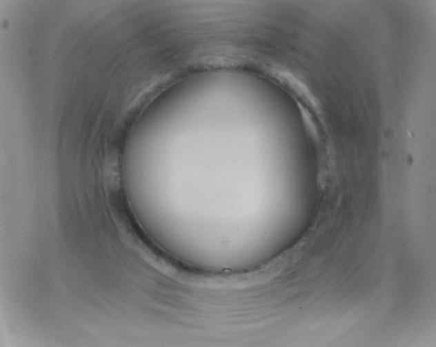 X0000074300017200609151953