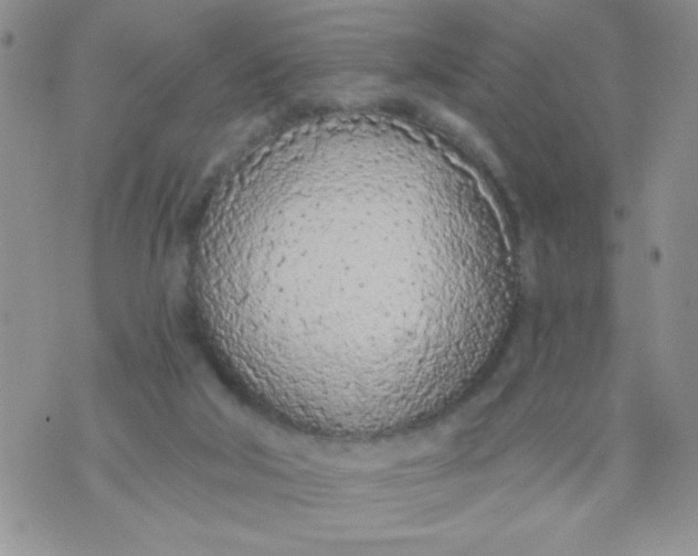 X0000074300018200609151953