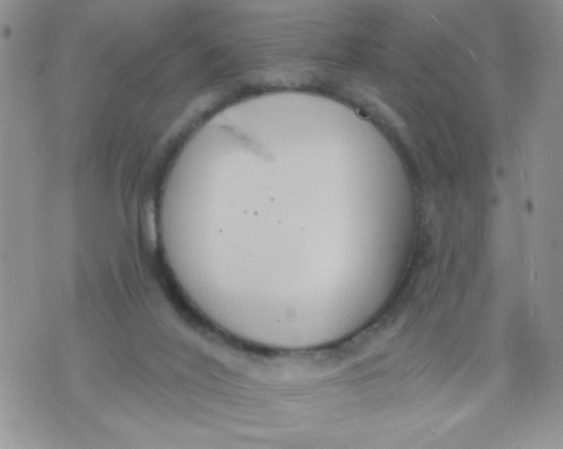 X0000074300020200609151953