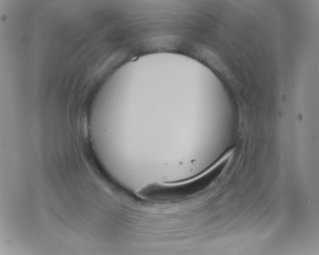 X0000074300021200609151953