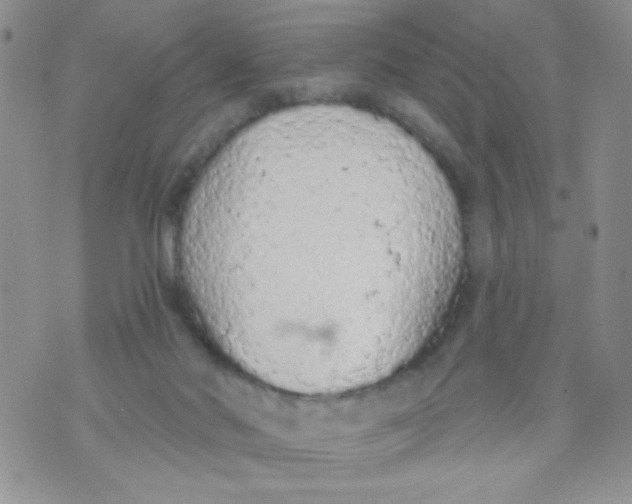 X0000074300022200609151953