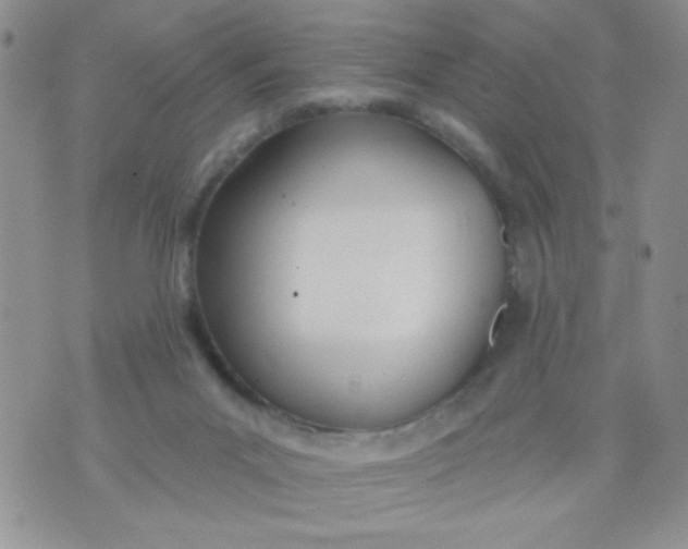 X0000074300023200609151953