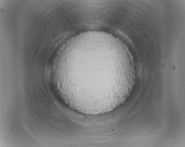 X0000074300026200609151953