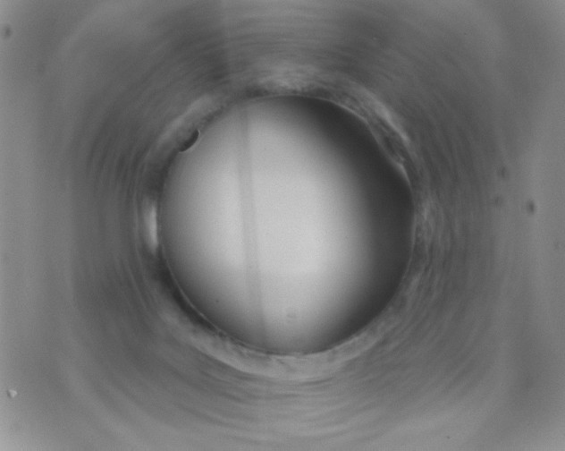 X0000074300027200609151953