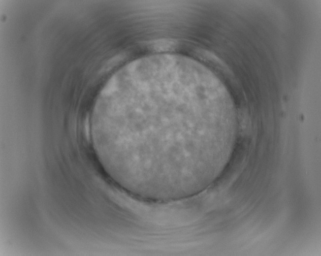 X0000074300028200609151953