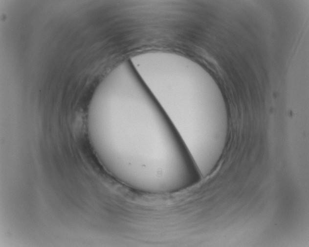 X0000074300029200609151953