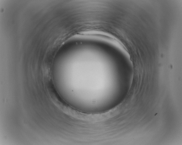 X0000074300031200609151953