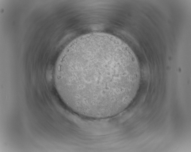 X0000074300032200609151953