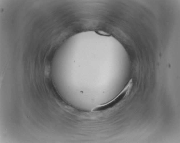 X0000074300033200609151953