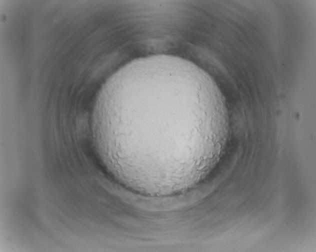 X0000074300034200609151953