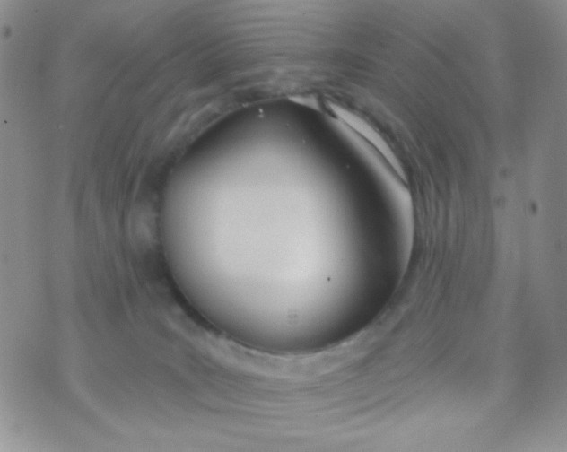 X0000074300035200609151953