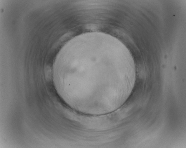 X0000074300036200609151953