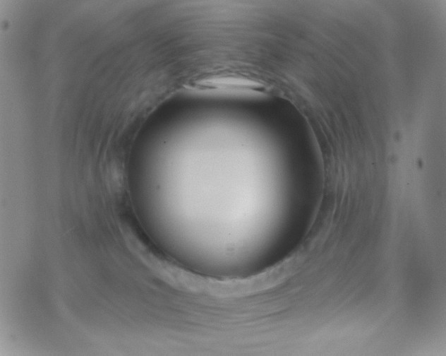 X0000074300039200609151953