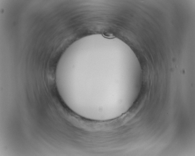 X0000074300040200609151953