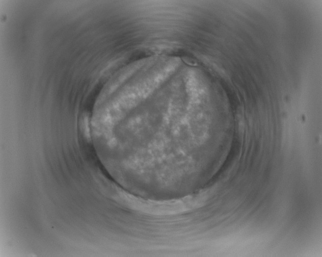 X0000074300042200609151953