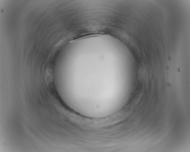 X0000074300043200609151953