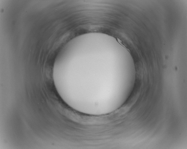 X0000074300044200609151953