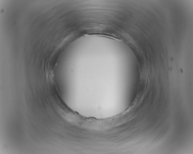 X0000074300045200609151953