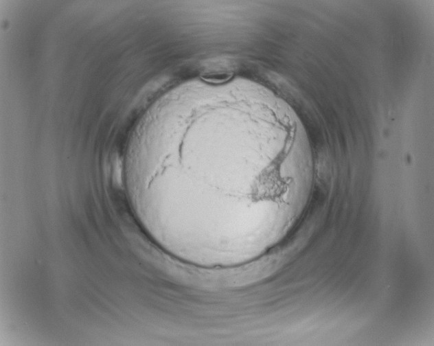 X0000074300046200609151953