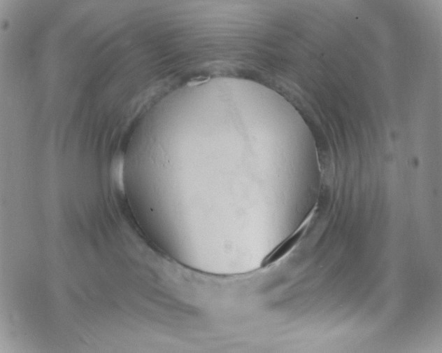 X0000074300047200609151953