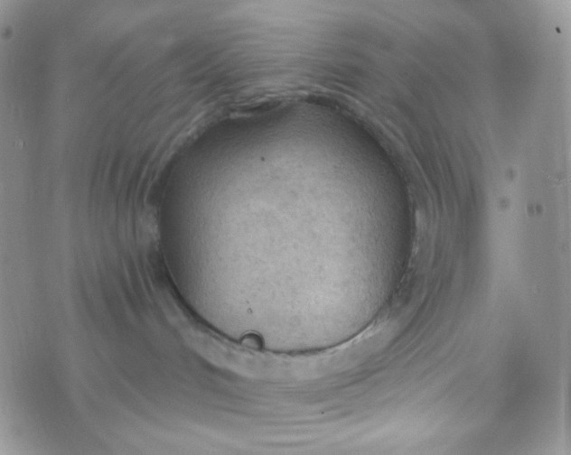 X0000074300048200609151952