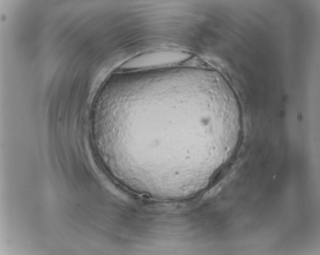 X0000074300049200609151952