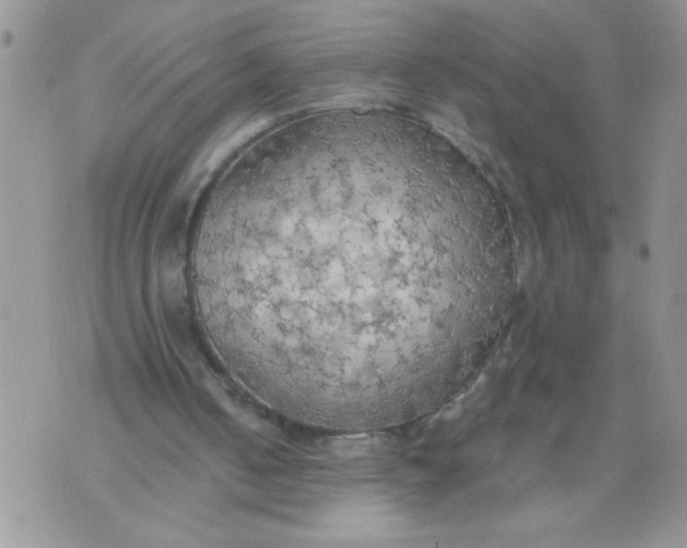 X0000074300050200609151952