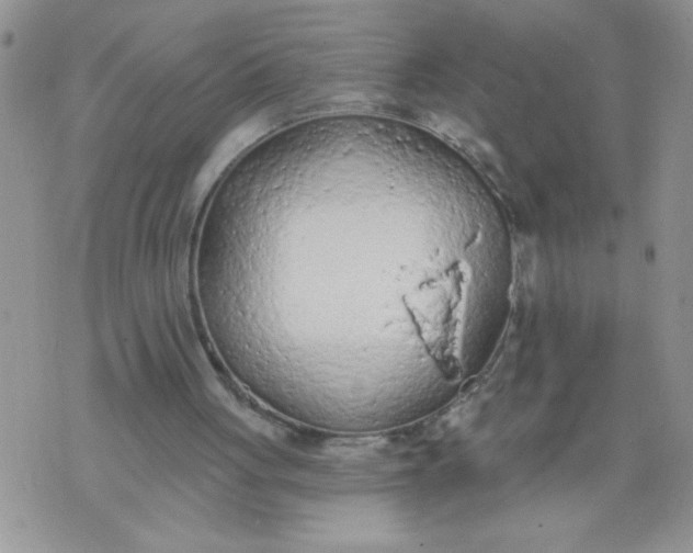 X0000074300051200609151952