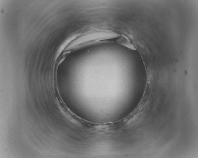 X0000074300052200609151952