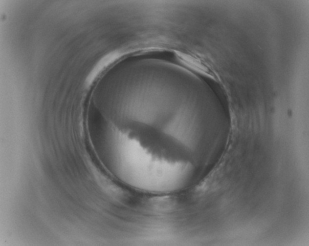 X0000074300054200609151952