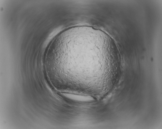 X0000074300055200609151952