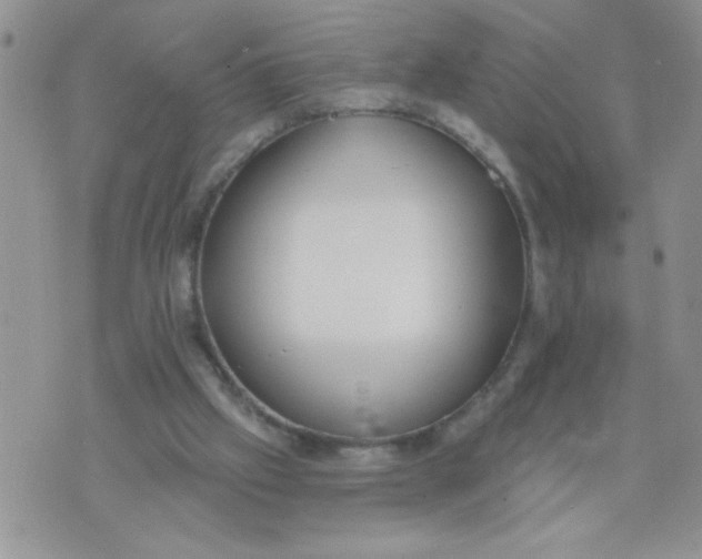 X0000074300057200609151952