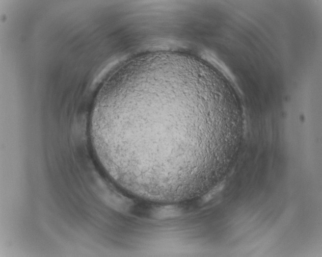 X0000074300058200609151952