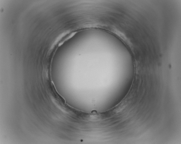 X0000074300060200609151952