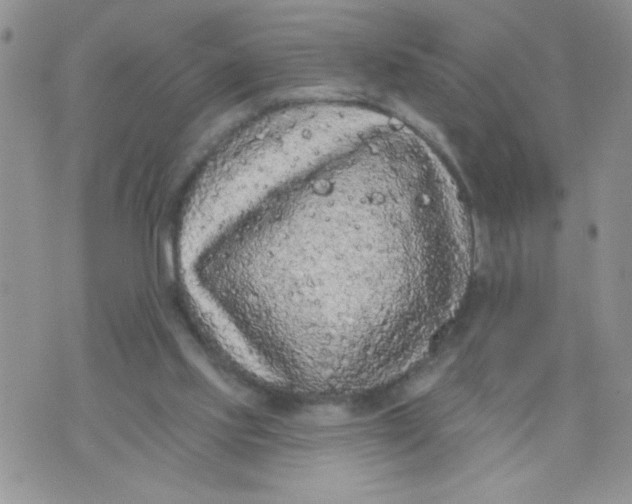 X0000074300061200609151952