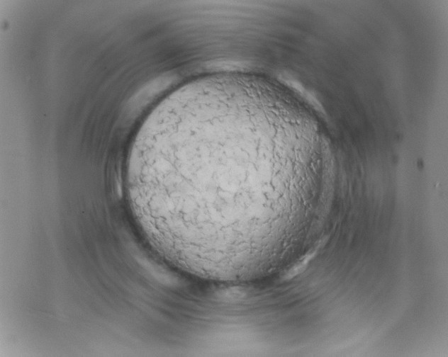 X0000074300062200609151952