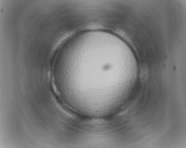 X0000074300063200609151952