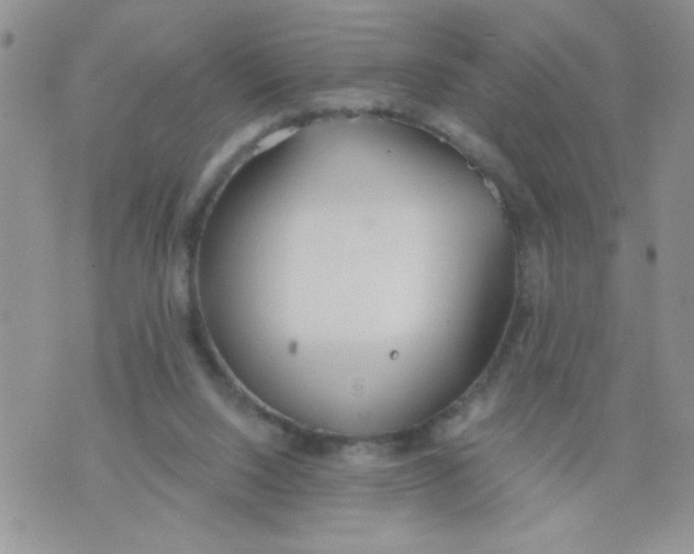 X0000074300064200609151952