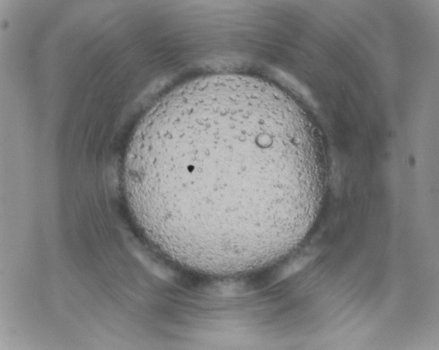 X0000074300065200609151952