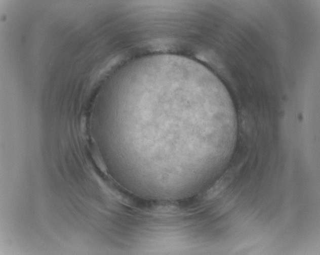 X0000074300066200609151952