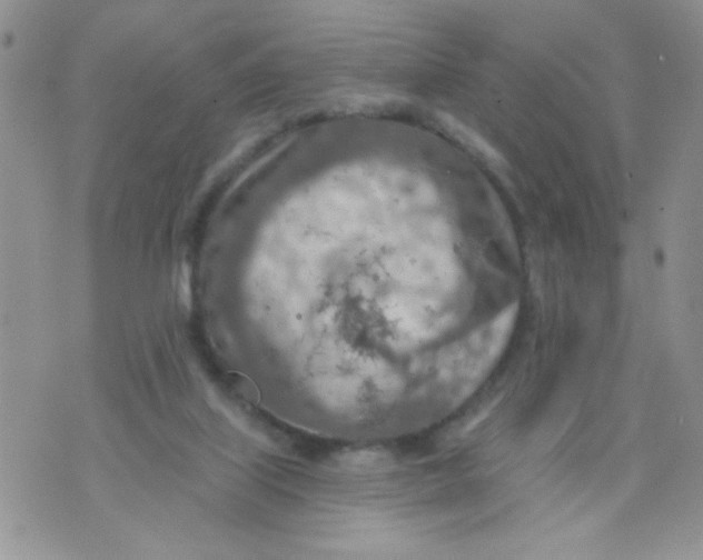 X0000074300067200609151952