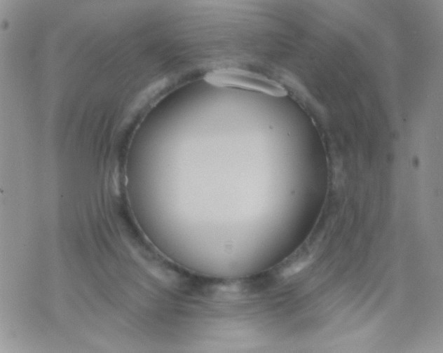 X0000074300068200609151952