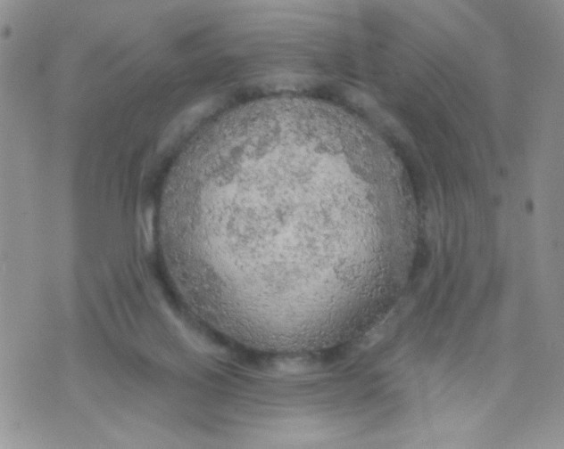 X0000074300070200609151952