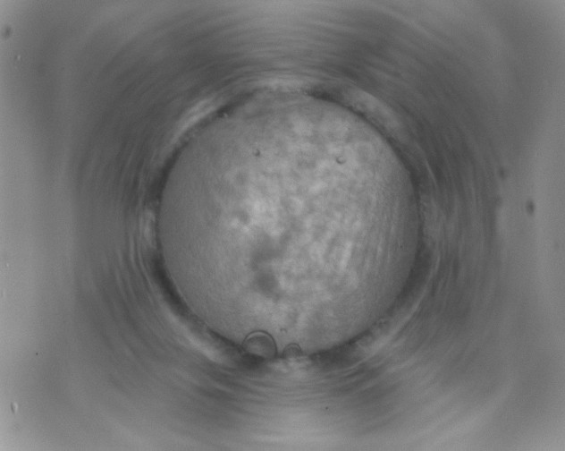 X0000074300071200609151952