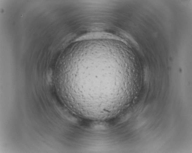 X0000074300073200609151952