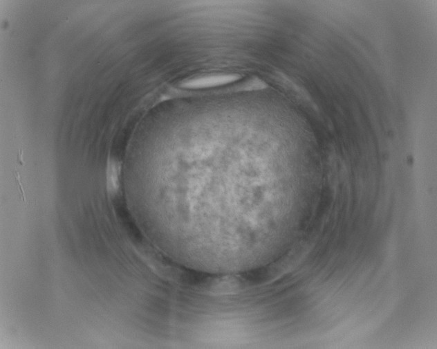 X0000074300075200609151952