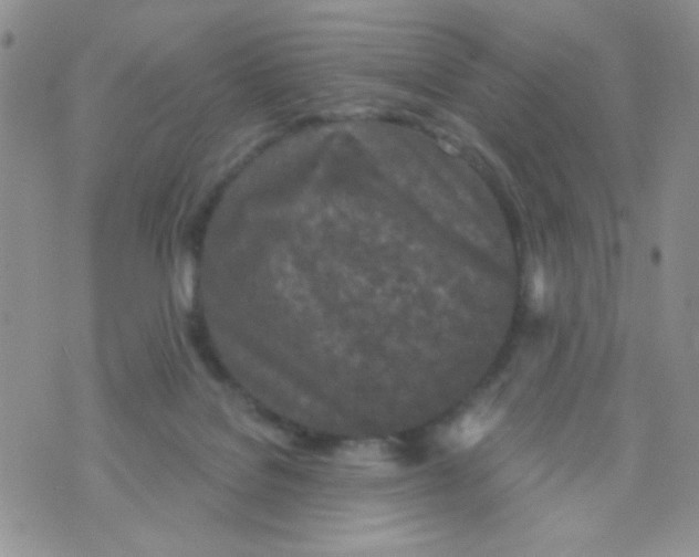 X0000074300076200609151952