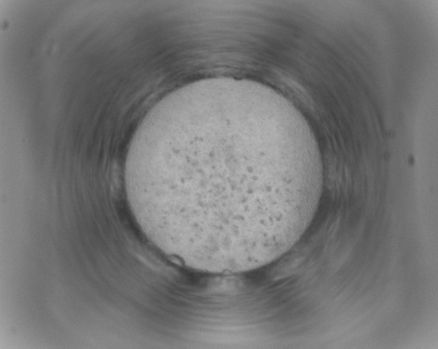 X0000074300077200609151952